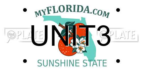 UNIT3 Florida License Plate