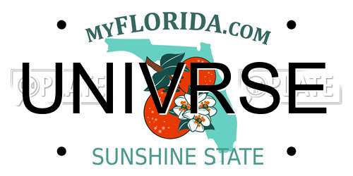 UNIVRSE Florida License Plate