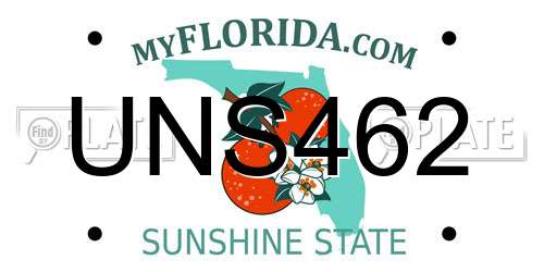 UNS462 Florida License Plate