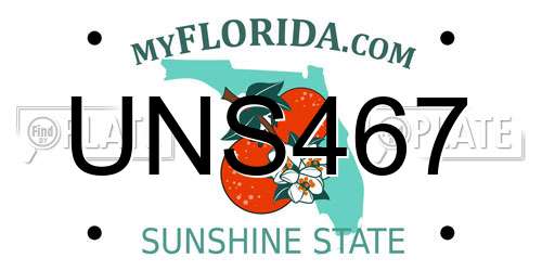 UNS467 Florida License Plate