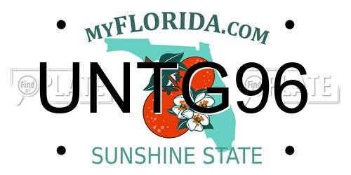 UNTG96 Florida License Plate