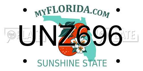 UNZ696 Florida License Plate