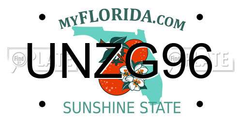 UNZG96 Florida License Plate