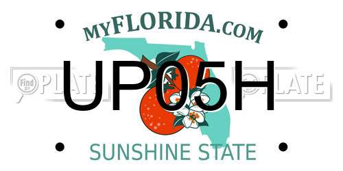 UP05H Florida License Plate