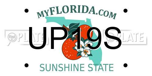UP19S Florida License Plate