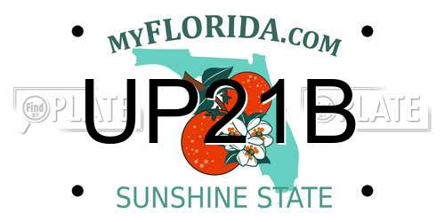 UP21B Florida License Plate