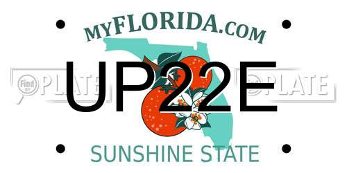 UP22E Florida License Plate
