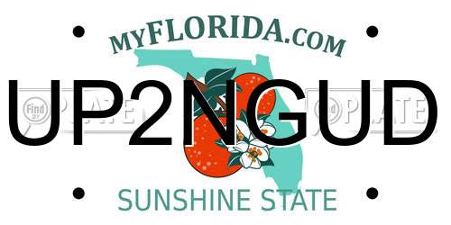 UP2NGUD Florida License Plate