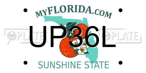 UP36L Florida License Plate