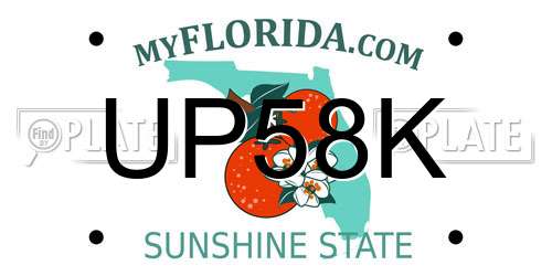 UP58K Florida License Plate