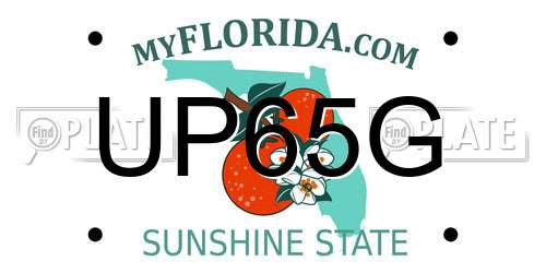 UP65G Florida License Plate