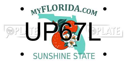 UP67L Florida License Plate