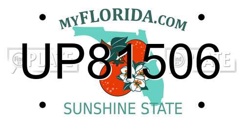UP81506 Florida License Plate