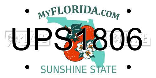 UPS1806 Florida License Plate