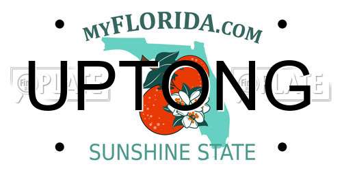 UPTONG Florida License Plate