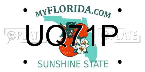 UQ71P Florida License Plate