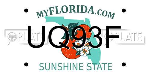 UQ93F Florida License Plate