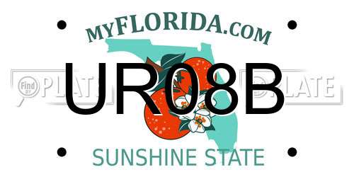 UR08B Florida License Plate