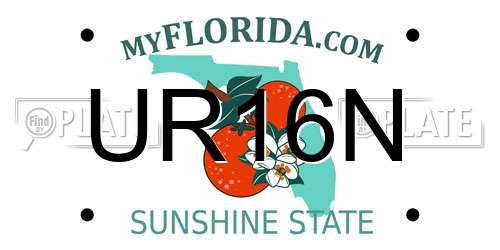 UR16N Florida License Plate