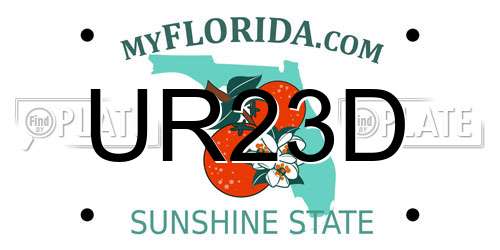 UR23D Florida License Plate