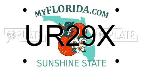 UR29X Florida License Plate
