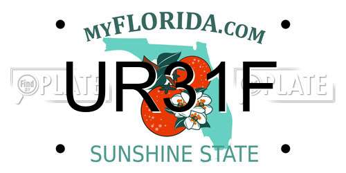 UR31F Florida License Plate