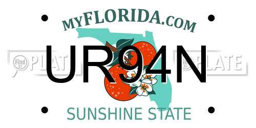 UR94N Florida License Plate