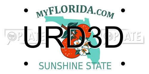 URD3D Florida License Plate
