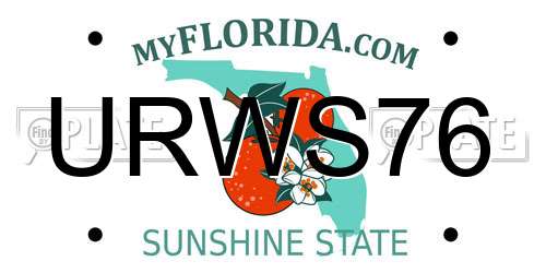 URWS76 Florida License Plate