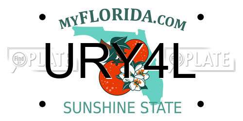 URY4L Florida License Plate