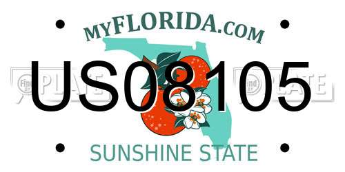 US08105 Florida License Plate