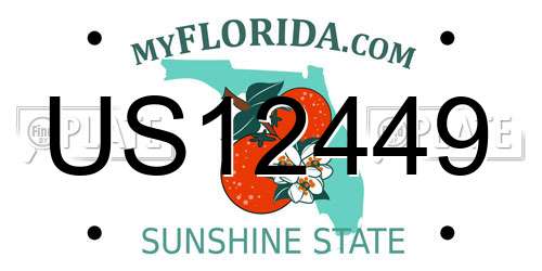 US12449 Florida License Plate