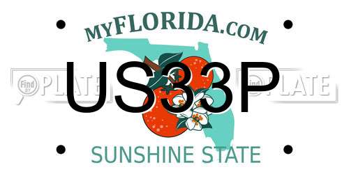 US33P Florida License Plate
