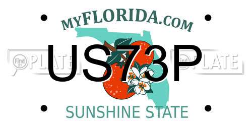 US73P Florida License Plate