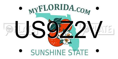 US9Z2V Florida License Plate
