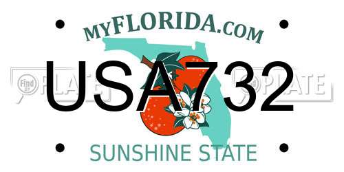 USA732 Florida License Plate