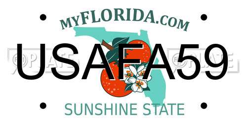 USAFA59 Florida License Plate