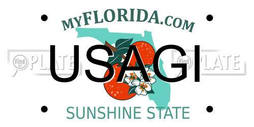 USAGI Florida License Plate