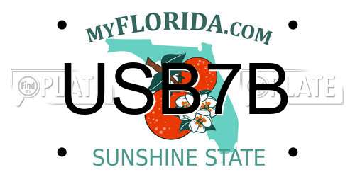 USB7B Florida License Plate