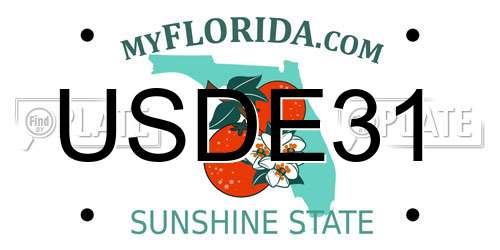 USDE31 Florida License Plate