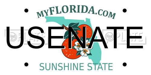USENATE Florida License Plate