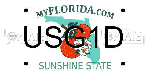 USG1D Florida License Plate