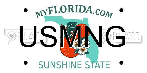 USMNG Florida License Plate