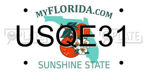 USQE31 Florida License Plate