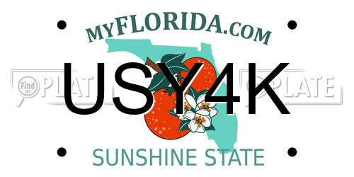 USY4K Florida License Plate