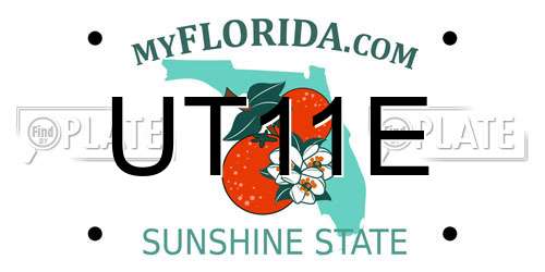 UT11E Florida License Plate