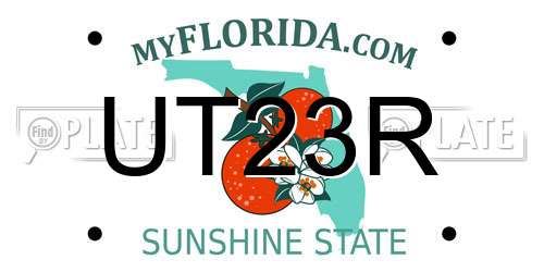UT23R Florida License Plate