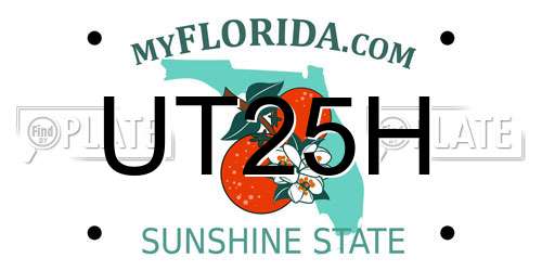 UT25H Florida License Plate