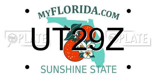 UT29Z Florida License Plate