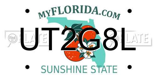 UT2G8L Florida License Plate